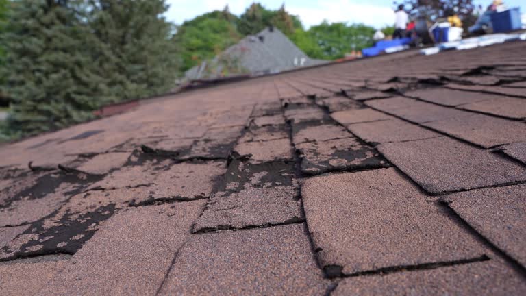 Best Roof Coating and Sealing  in Hoffman Estates, IL