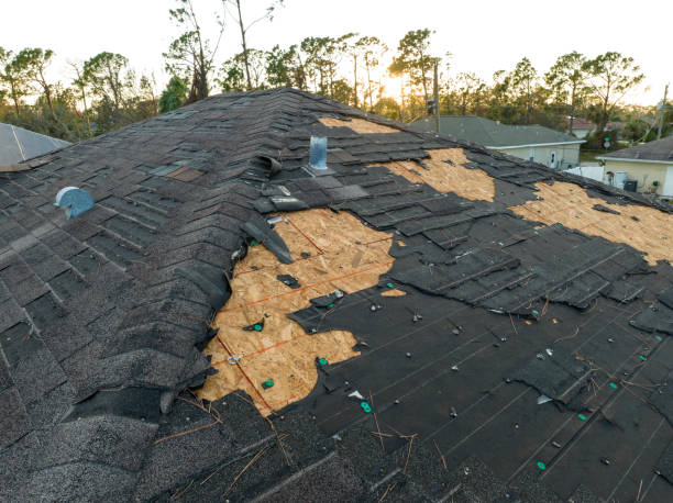 Best Rubber Roofing (EPDM, TPO)  in Hoffman Estates, IL