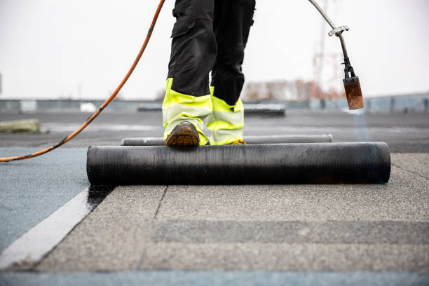 Best Roof Maintenance and Cleaning  in Hoffman Estates, IL