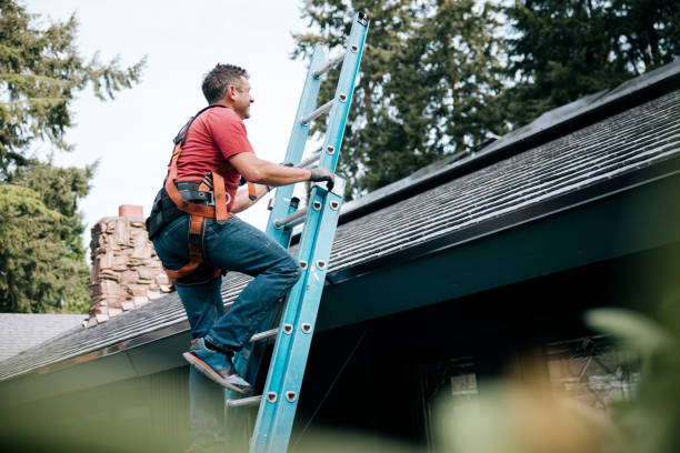 Best Chimney Flashing Repair  in Hoffman Estates, IL
