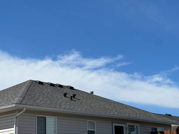 Best Roof Insulation Installation  in Hoffman Estates, IL